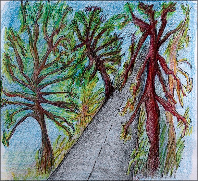 State highway to Indiana Dunes