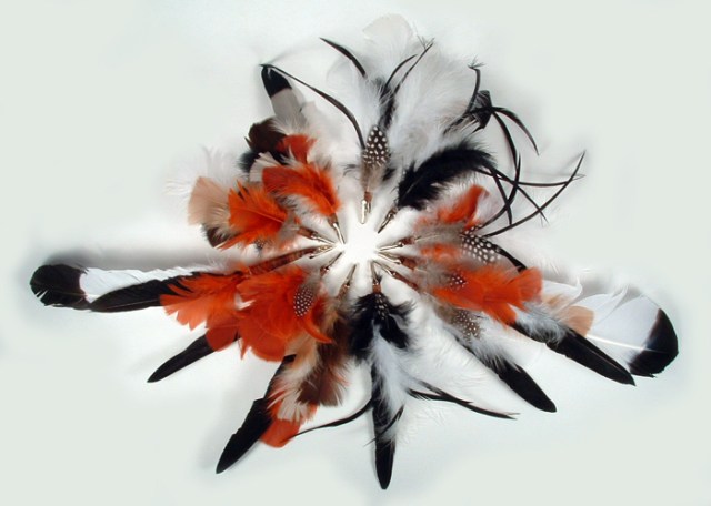 Photo of feather hair ornaments.
