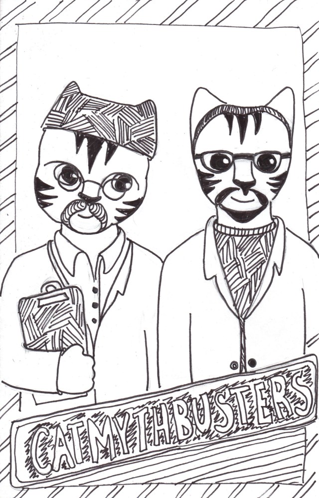 Cat art Link cartoon pen ink drawing mythbusters