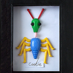 Insect Collection Craft Handmade DIY