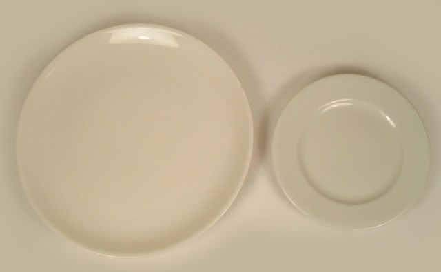 Photo of 2 different sizes of round diner china.