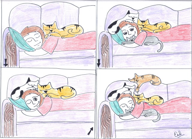 Sunday catoon friends