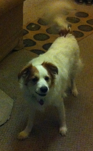 Now, throw the ball already