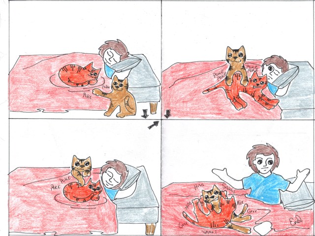 sunday catoon why i am tired