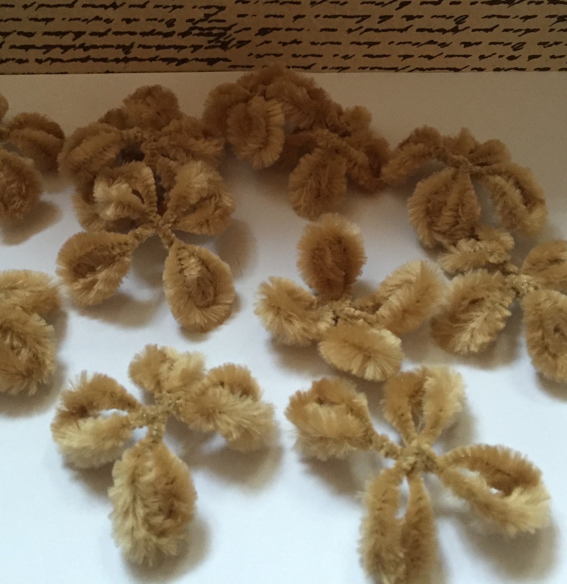 individual layers of pine cone scales