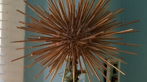 Gold spiky star on our tree!